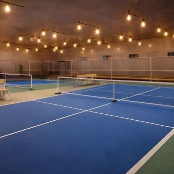 pickball 350
